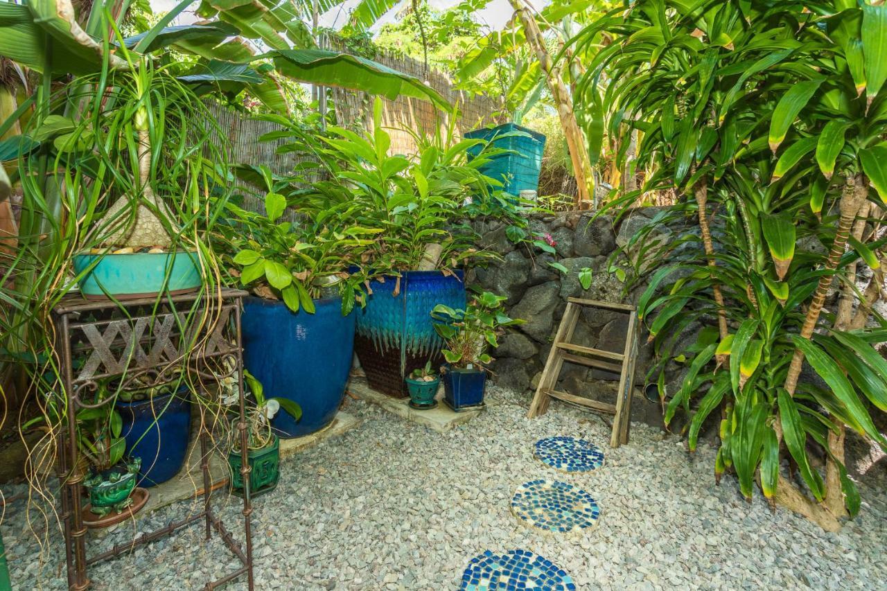 Mango Retreat Villa Kailua-Kona Bagian luar foto